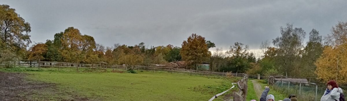 Barevný podzim na farmě