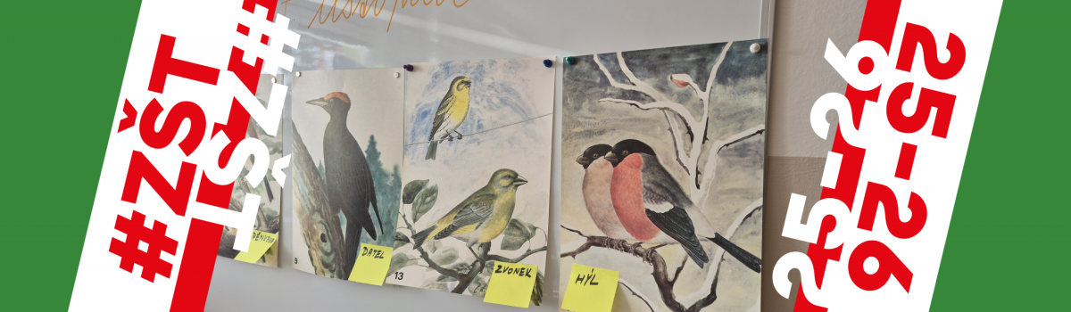 Druháci – odborníci na zimní přikrmování ptáčků