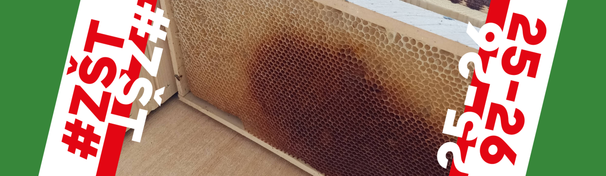 ​Beseda se včelařem ve školní družině